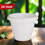 AM5615 Alpha Delux Premium Plastic Planter Round Pot (10 Inch) - Plant Pot Set for Home Garden and Nursery