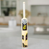 AM3183 Paramount Big Plastic Cricket Bat For Kids 1 Pcs