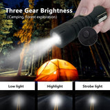 AM5243 Plasma Electric Lighter Rechargeable, Waterproof Lighter Plasma Lighter with Flashlight 360°Flexible Long Neck ARC Lighter Flameless for Camping Hiking