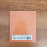 AM5501 Vision Single Line A5 Notebook 132 Pages, 160mmX190mm (Brown, Pack of 1)