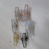 AM1293 Chromatic Claw Clip (Medium) 1pc