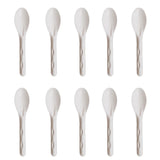 AM5815 Freshee Disposable Bagasse Spoons - Pack of 10