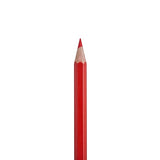 AM3299 Camlin Colour Pencil 24 Shade (Assorted)