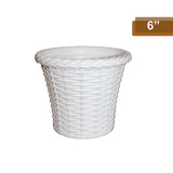 AM0825 Ap Juhi Pot 6 inch -Multicolor Designer Plastic Flower pots