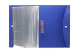AM0419 Display File | Clear Leaves | Best for FC Size | 10 Folder Button File