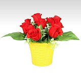 AM0825 Ap Juhi Pot 6 inch -Multicolor Designer Plastic Flower pots