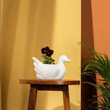 AM0854 White Duck Flower Plastic Pot, Home,Gardening decoret