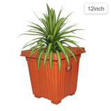 AM0848 Deep Heavy Square Brown Planter Pot 12 inch