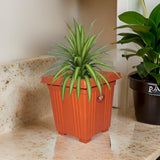 AM0847 Deep Heavy Square Brown Planter Pot 8 inch