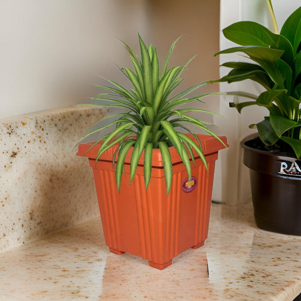 AM0847 Deep Heavy Square Brown Planter Pot 8 inch