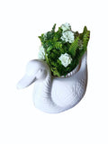 AM0854 White Duck Flower Plastic Pot, Home,Gardening decoret