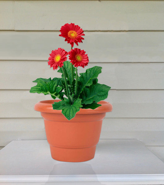 3864 Garden Heavy Plastic Planter Pot/Gamla - 14Inch (Brown, Pack of 1)