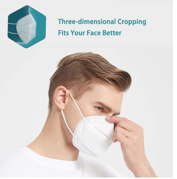 0258  N95 Anti Pollution/Virus Face Mask DeoDap