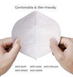 0258  N95 Anti Pollution/Virus Face Mask DeoDap