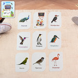 19158 KidKraft Early Learner Educational Flashcards – 32 Birds