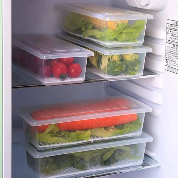 5792 Vegetables & Fruits Freezer Storage Container (PACK OF 6PC 1500ML)