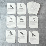19158 KidKraft Early Learner Educational Flashcards – 32 Birds