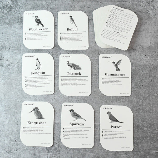 19158 KidKraft Early Learner Educational Flashcards – 32 Birds