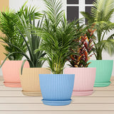 18267 Plastic Flower Pot with Bottom Tray (5 Pcs Set / With Color Box)