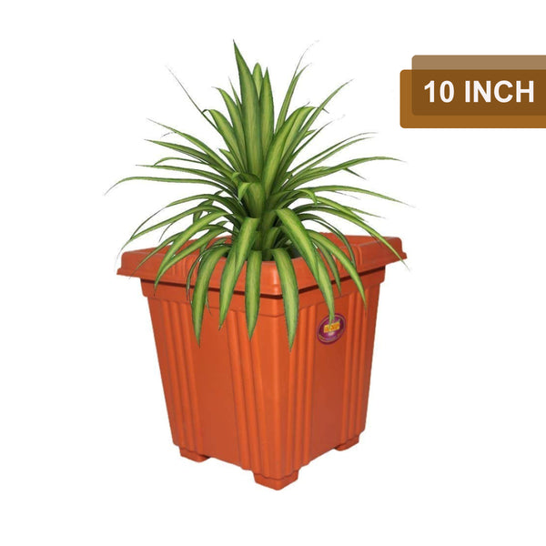 AM2062 Deep Heavy Square Brown Planter Pot 10 inch