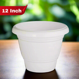 AM5616 Alpha Delux Premium Plastic Planter Round Pot (12 Inch)  - Plant Pot Set for Home Garden and Nursery