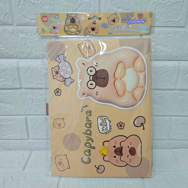 AM6048 Magical Expanding File Folder (Document Holder) – 32.5x24 cm