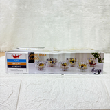 AM5965 Shine Max Ice Cream Glass Bowl - Set OF 6 Pcs