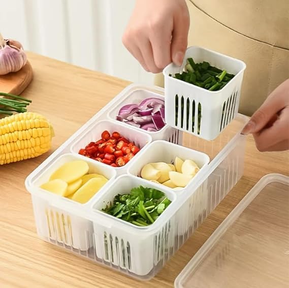 5598 6 Grid Fridge Storage Boxes Containers