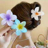 AM6397 Mix Translucent Floral Hair Claw Clip - Big (1pc)
