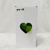 AM6236 Artificial Bonsai Plant in Grey Concrete Style Pot