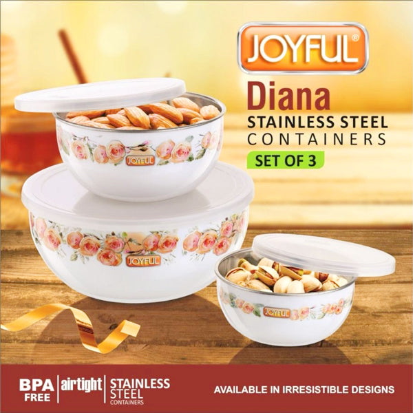 AM3895 Joyful Diana Stainless Steel Containers (Set Of 3)