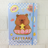 AM6367 Mix Design A5 Notebook Diary With Elastic Band