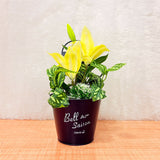 TM0027 Artificial Flower and Succulent Arrangements in Decorative Pot [Set of 1]