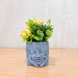 TM0029 Artificial Decorative Plants in Unique Cement & Ceramic Planter [Set of 1]