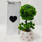 AM6238 Green Topiary Ball Plant with Decorative Flower Pot