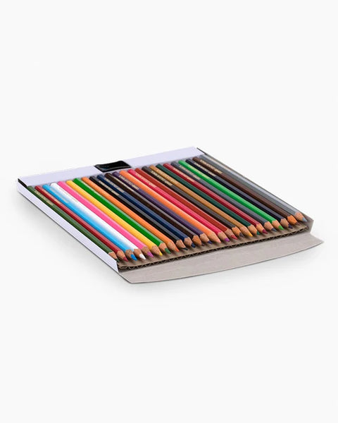 AM3299 Camlin Colour Pencil 24 Shade (Assorted)