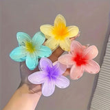 AM6397 Mix Translucent Floral Hair Claw Clip - Big (1pc)