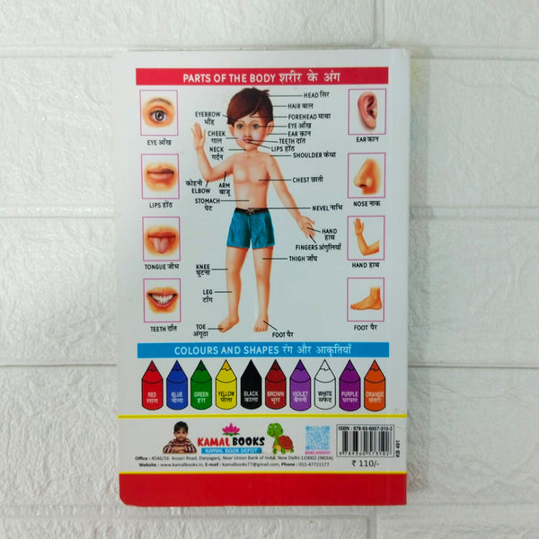 Di0091 My First Board Book of All in One - GK book