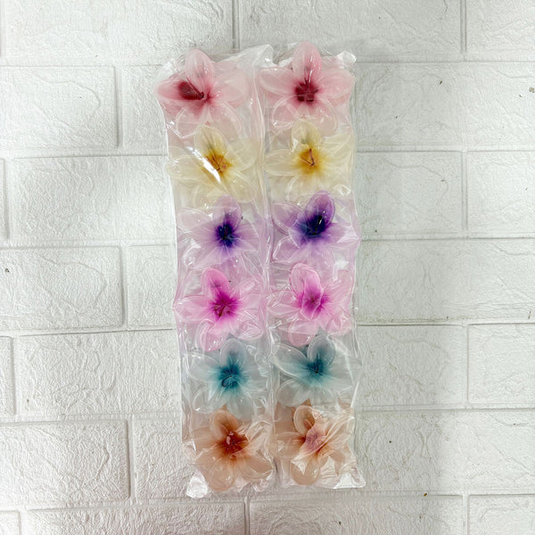AM6397 Mix Translucent Floral Hair Claw Clip - Big (1pc)