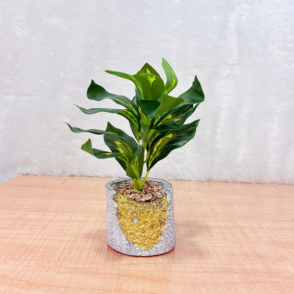 TM0029 Artificial Decorative Plants in Unique Cement & Ceramic Planter [Set of 1]