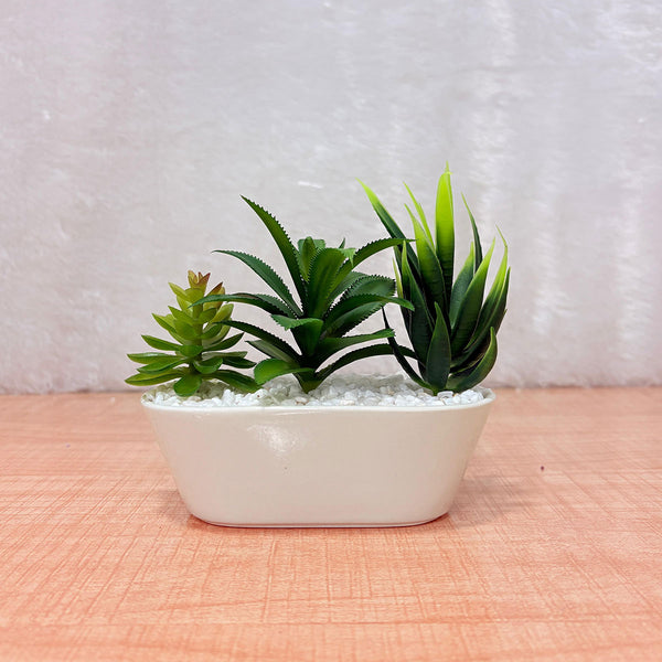 TM0029 Artificial Decorative Plants in Unique Cement & Ceramic Planter [Set of 1]