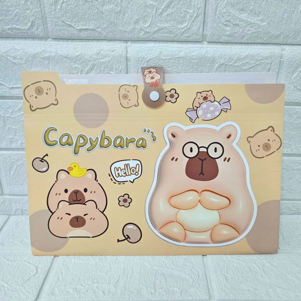 AM6048 Magical Expanding File Folder (Document Holder) – 32.5x24 cm