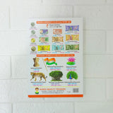 Di0126 SHUBH – My First Board Book: All In One (English – Gujarati – Hindi)