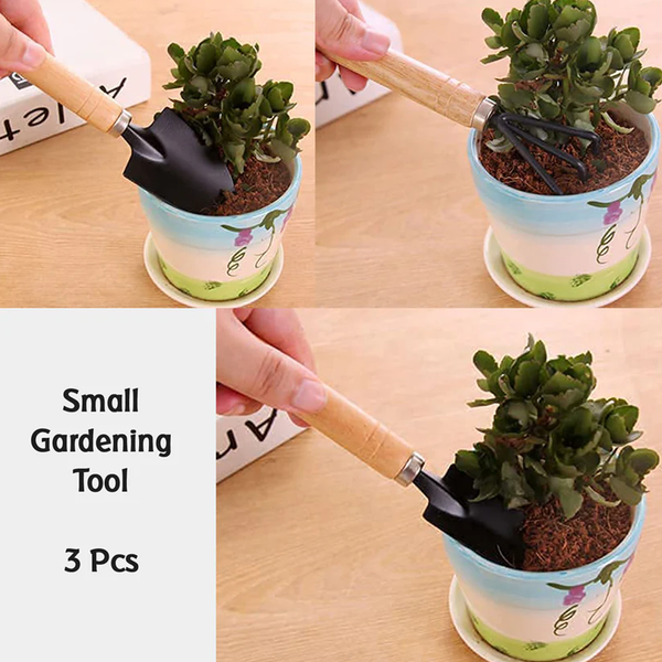 15841 Garden Tool Kit Durable Hand Tools Set with Wooden Handle (3 Pc)