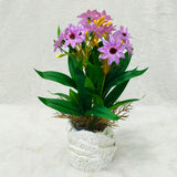 AM6240 Artificial Lavender Star Flower Textured White Pot