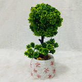 AM6238 Green Topiary Ball Plant with Decorative Flower Pot