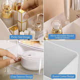 6941 Multi-Functional Plastic Vanity Storage Box