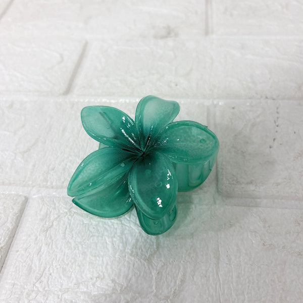 AM6397 Mix Translucent Floral Hair Claw Clip - Big (1pc)