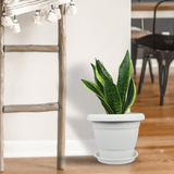 AM5616 Alpha Delux Premium Plastic Planter Round Pot (12 Inch)  - Plant Pot Set for Home Garden and Nursery