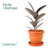 3023 Plastic Planter Big Plate for 12,14,16,18 inch pot